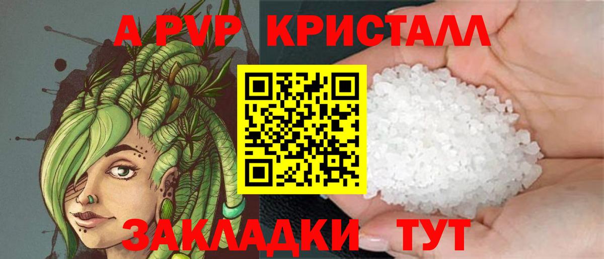 A-PVP СК КРИС Светлоград