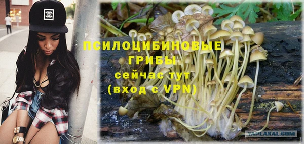 MDMA Няндома
