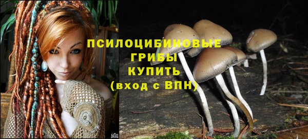 spice Нягань