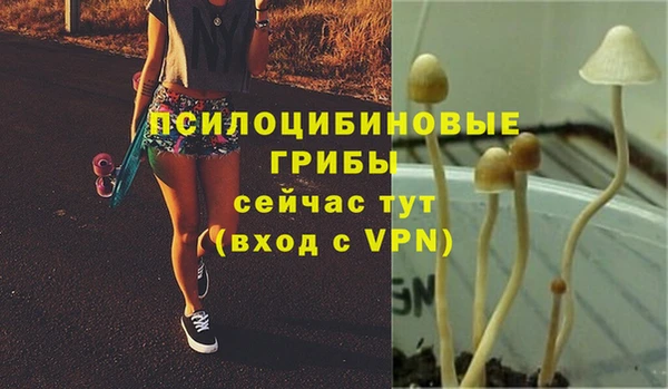 spice Нягань
