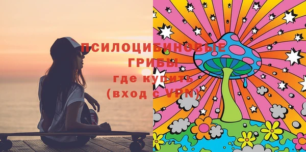 spice Нягань