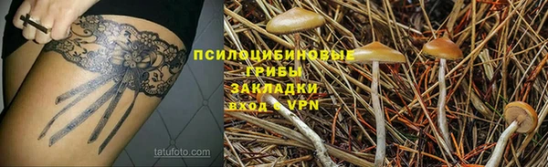 MDMA Няндома