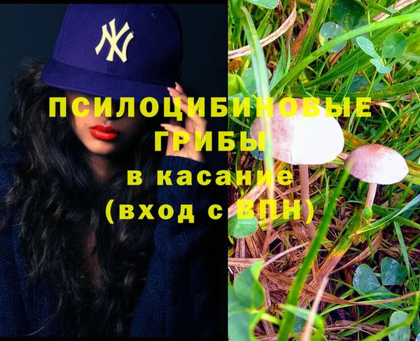 MDMA Няндома