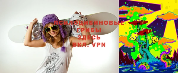 spice Нягань