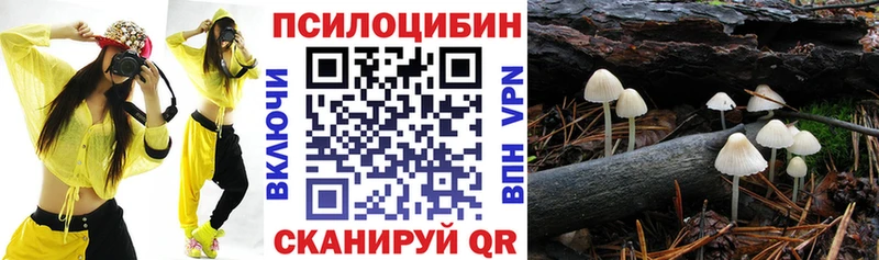 как найти наркотики  Светлоград  Галлюциногенные грибы Magic Shrooms 