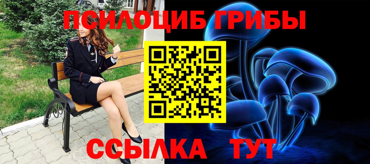 Галлюциногенные грибы ЛСД  Галлюциногенные грибы Psilocybine cubensis  Светлоград 