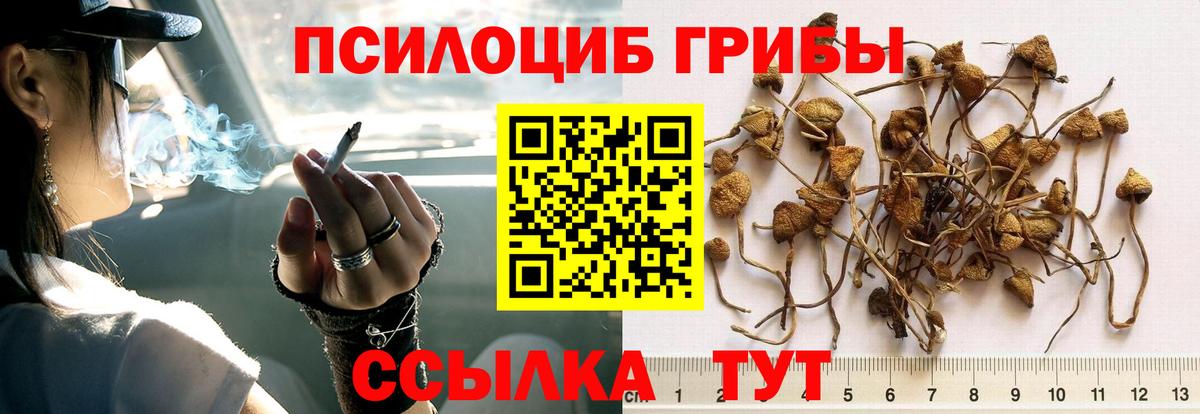  КОКАИН Светлоград