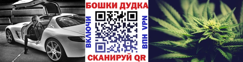 Конопля план  Светлоград 