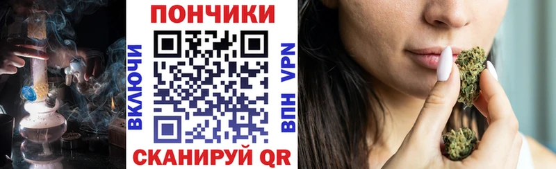 Шишки марихуана сатива Светлоград
